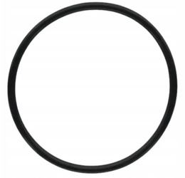 Klarwod oring do korpusów filtra 10”